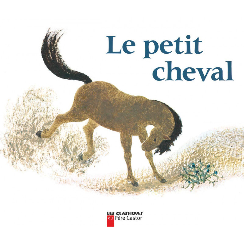 Petit cheval et vieux chameau - Flammarion