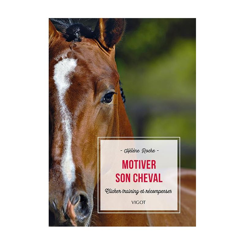 Motiver son cheval - Clicker trainning et récompenses - Vigot