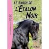 Coffret L'étalon noir (3 tomes) - Bibliothèque Rose