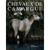 Chevaux de Camargue