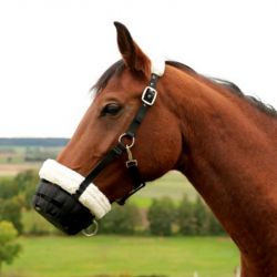 Muselière de paturage cheval en mouton