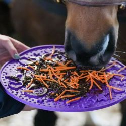 Tapis à lécher cheval Graze Maze - Likit 