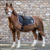 Surfaix cheval 2 poignées - Waldhausen 