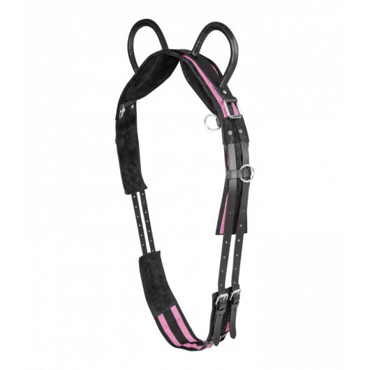 Surfaix cheval 2 poignées - Waldhausen 