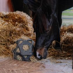 Balle de jeu à foin cheval - Kentucky