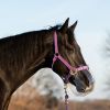 Panier anti-fourbure cheval limitation normale Filly - Thinline