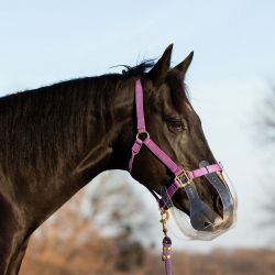 Panier anti-fourbure cheval limitation élevée Filly- Thinline