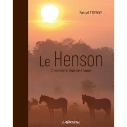 Le Henson - Cheval de la Baie de Somme - Lavauzelle