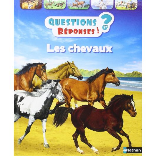 Questions/Réponses : Les chevaux - Nathan