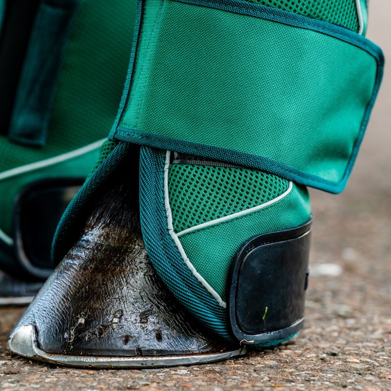 Protection de transport cheval Signature - Horseware 