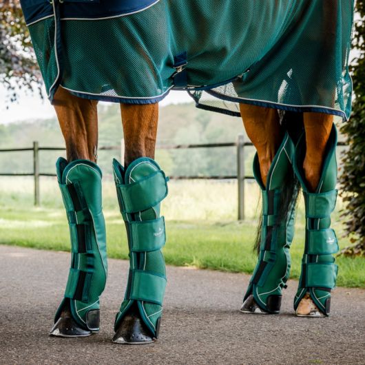 Protection de transport cheval Signature - Horseware 