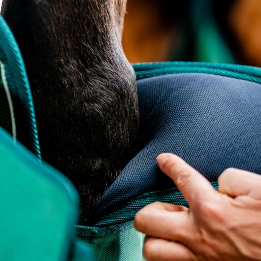 Protection de transport cheval Signature - Horseware 