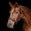 Licol cuir cheval Classy S-Line - Waldhausen 