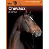 Chevaux et poneys - Gallimard jeunesse