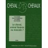 Le cheval, animal féminin ou masculin ? - Cheval Chevaux