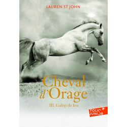Cheval d'orage Tome 3 - Gallimard