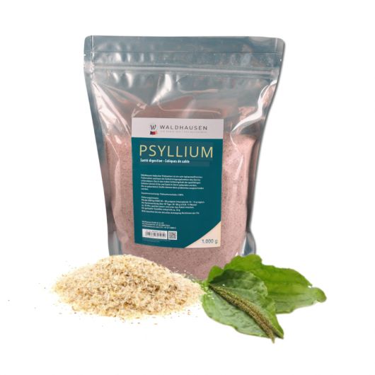 Transit Psyllium des Indes 1 kg - Waldhausen 