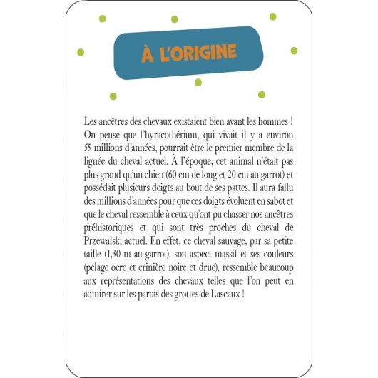 52 cartes pour tout savoir sur les chevaux - Edition 365