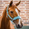 Licol cheval Grooming Signature - Horseware