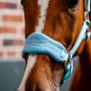 Licol cheval Grooming Signature - Horseware