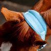 Licol cheval Grooming Signature - Horseware