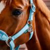 Licol cheval Grooming Signature - Horseware