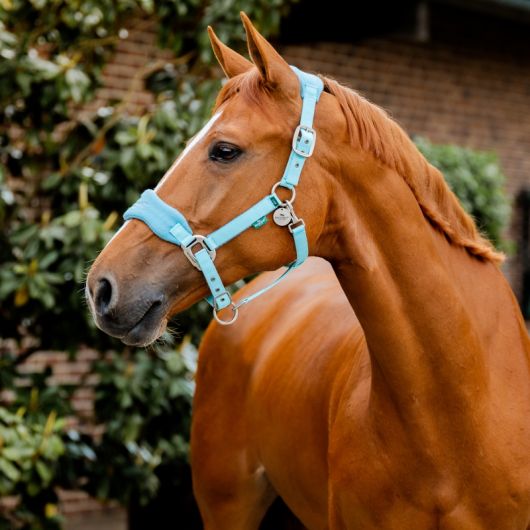 Licol cheval Grooming Signature - Horseware