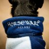 Manteau chien polaire Signature - Horseware 