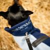 Manteau chien polaire Signature - Horseware 