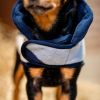 Manteau chien polaire Signature - Horseware 