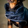 Manteau chien Signature 200g - Horseware