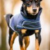 Manteau chien imperméable Rain Coat Signature - Horseware