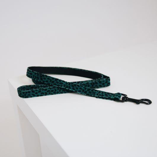 Laisse pour chien Léopard - Kentucky 