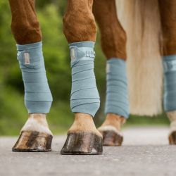 Bandes de polo cheval Florenz - Waldhausen