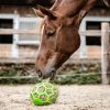 Balle de jeu à foin cheval - Waldhausen