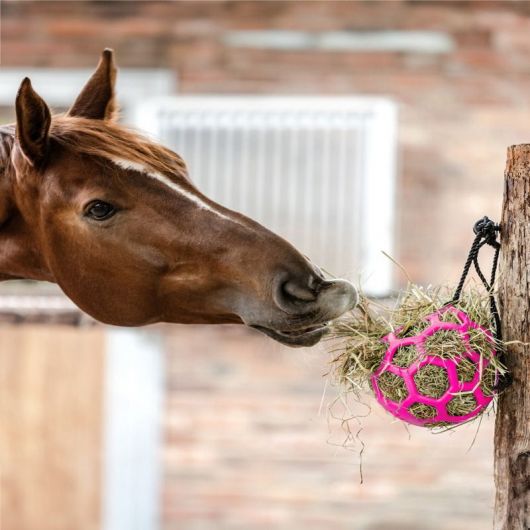 Balle de jeu à foin cheval - Waldhausen