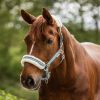 Licol cheval fourrure et strass Elegant - Waldhausen