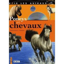 Poneys et chevaux - Fleurus