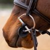 Anti stress cheval pour bridon - Busy Buddy - Thinline