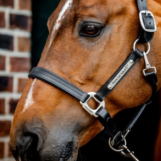 Licol cheval cuir Signature - Horseware 
