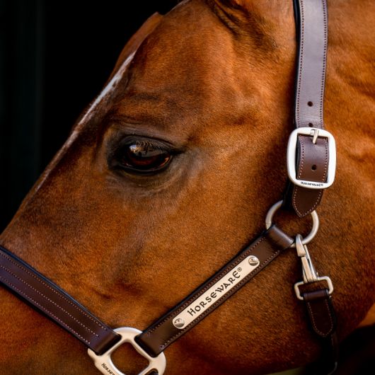 Licol cheval cuir Signature - Horseware 