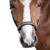 Licol nylon cheval Atheltic - Waldhausen 