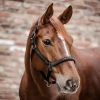 Licol nylon cheval Atheltic - Waldhausen 