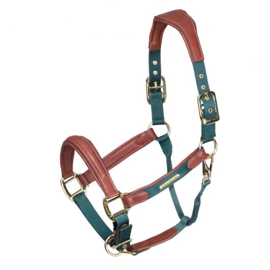 Licol cuir et nylon cheval Velociti Lusso - Shires 