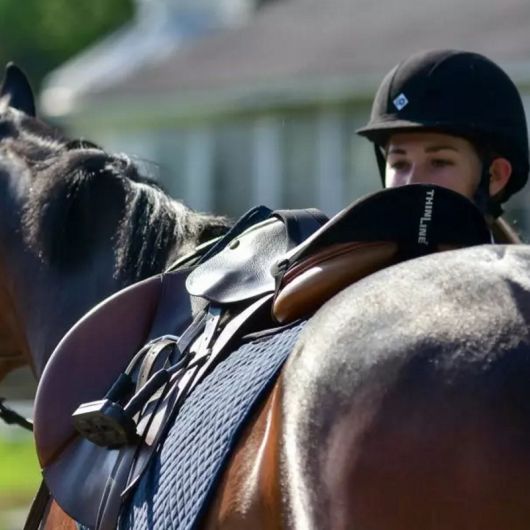 Dessus de selle cso confort - Thinline