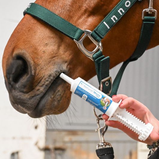 Natural Moov Flash - Confort locomoteur cheval -Natural Innov