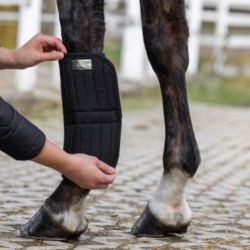 Sous-bandes thérapeutiques cheval Therm - Covaliero