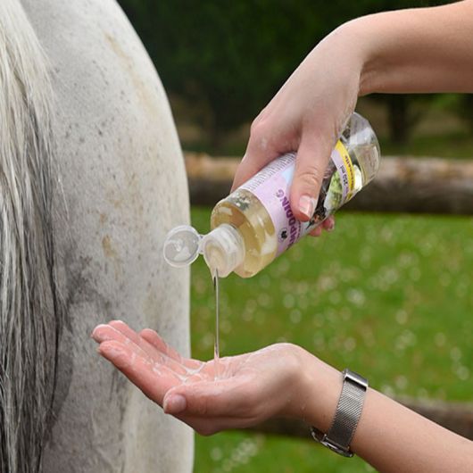 Shampoing anti-mouche cheval à la citronnelle - Gamme du Maréchal