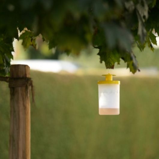 Piège à mouche cheval Flycage