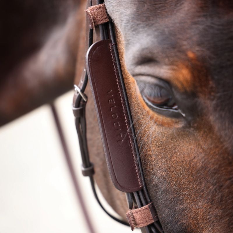 Montants demi-oeillères cheval Velociti Gara - Shires